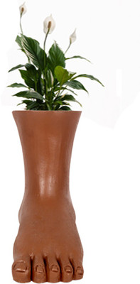 

TrustBasket (NPI)Left Leg - Terracotta Handmade Plant Container(Terracotta, External Height - 21 cm), Brown