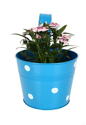 TrustBasket Single Pot Railing Planter - Blue with White Dots Plant Container Set(Metal)