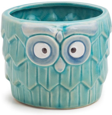 

Chumbak Fluffy Owl Planter - Blue Plant Container(Ceramic, External Height - 1 - 10.5 cm)