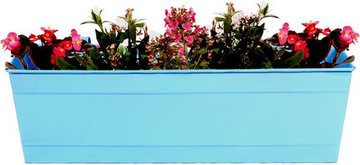 

TrustBasket Rectangular Railing Planter - Teal (18 Inch) Plant Container(Metal, External Height - 17 cm), Multicolor