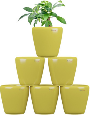 

Yuccabe Italia Plant Container(Plastic, External Height - 15 cm), Yellow