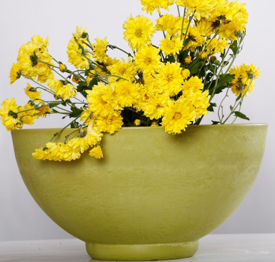 

AGRILABH HOME & KITCHEN GARDEN Plant Container(Plastic, External Height - 25 cm), Yellow