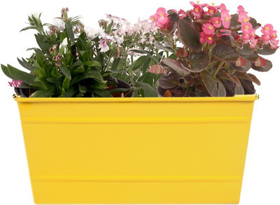 TrustBasket Rectangular Railing Planter - Yellow (12 Inch) Plant Container Set(Metal)