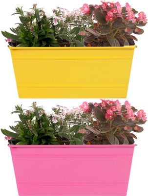 

TrustBasket Set of 2 - Rectangular Railing Planter - Yellow and Magenta (12 Inch) Plant Container(Metal, External Height - 13.97 cm), Pink;yellow