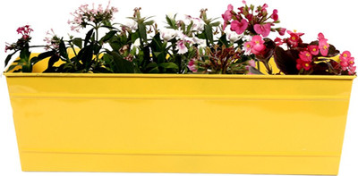 

TrustBasket Rectangular Railing Planter Yellow -18 inch Plant Container(Metal, External Height - 17 cm)