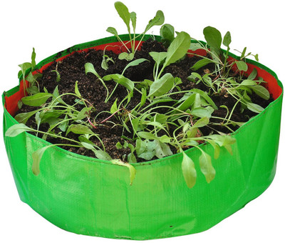 

gro smart Plant Container(Polythene, External Height - 15 cm), Green