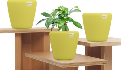 

Yuccabe Italia Plant Container(Plastic, External Height - 15 cm), Yellow