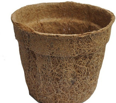 

Minerva Naturals 5" coir pot set of 5 Plant Container(Wood, External Height - 006 cm), Brown
