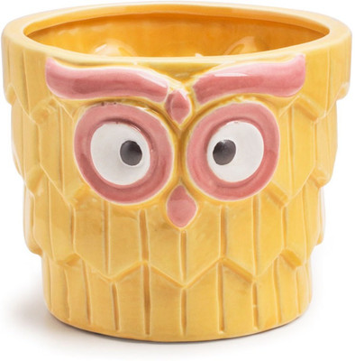 

Chumbak Fluffy Owl Planter - Yellow Plant Container(Ceramic, External Height - 1 - 13 cm)
