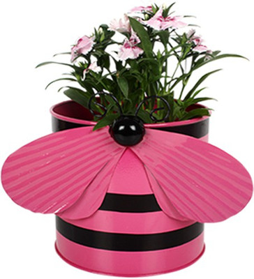

TrustBasket Bee Planter-Pink Plant Container(Metal, External Height - 15 cm)