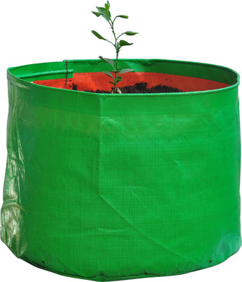 

Gro Smart Plant Container(Polythene, External Height - 9 cm), Green;orange