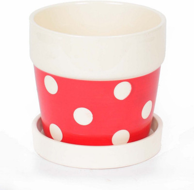 

Scrafts Polka Dot With Tray - Rd Plant Container(Ceramic, External Height - 12.5 cm), Red