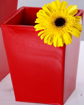 

AGRILABH HOME & KITCHEN GARDEN Plant Container(Plastic, External Height - 19 cm), Red