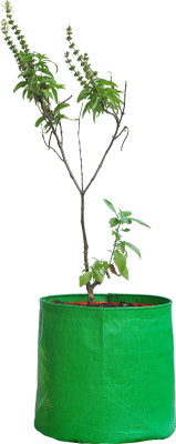 

Gro Smart Plant Container(Polythene, External Height - 9 cm), Green;orange
