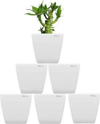 

Yuccabe Italia Plant Container(Plastic, External Height - 15 cm), White