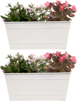 

TrustBasket et of 2 - Rectangular Railing Planter - White (12 Inch) Plant Container(Metal, External Height - 13.97 cm)