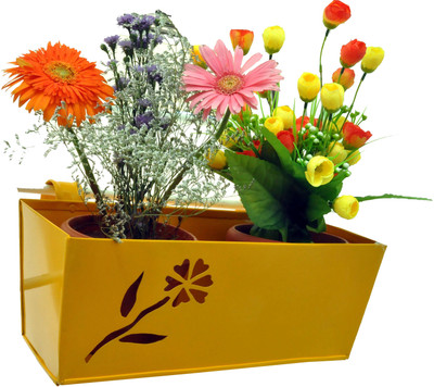 

First Smart Deal Plant Container(Metal, External Height - 15 cm), Yellow