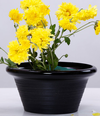 

AGRILABH HOME & KITCHEN GARDEN Plant Container(Plastic, External Height - 10 cm), Black