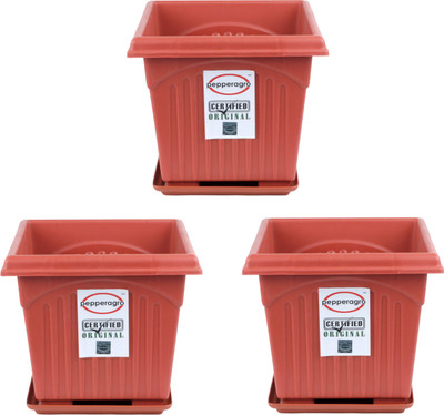 

Pepper Agro Square Planter 10 Inch With Tray Terracotta (Set of 3qty) Plant Container(Plastic, External Height - 23 cm), Brown