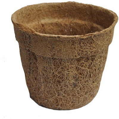 Minerva Naturals Plant Container(Clay, External Height - 12.7 cm) at flipkart