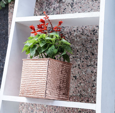 

Color Palatte Plant Container(Metal, External Height - 14 cm), Brown