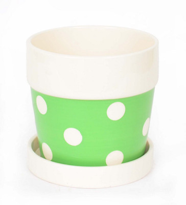 

Scrafts Polka Dot With Tray - Grn Plant Container(Ceramic, External Height - 12.5 cm), Green