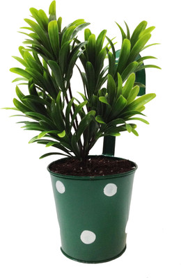 

TNZ Creations Plant Container(Metal, External Height - 10.5 cm), Green