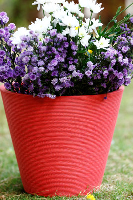 

AGRILABH HOME & KITCHEN GARDEN Plant Container(Plastic, External Height - 37 cm), Red
