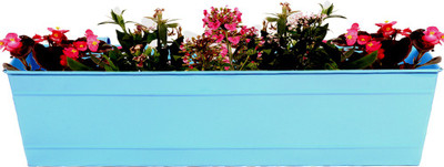

TrustBasket Rectangular Railing Planter -Teal (23 Inch) Plant Container(Metal, External Height - 17.5 cm), Multicolor