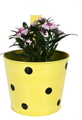 TrustBasket Single pot Railing planter - Yellow with Dots Plant Container(Metal, External Height - 15 cm) at flipkart