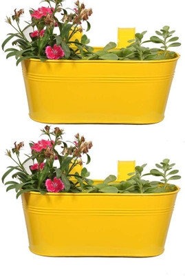 

TrustBasket Set of 2 -Oval railing planter - Yellow Plant Container(Metal, External Height - 12.7 cm)