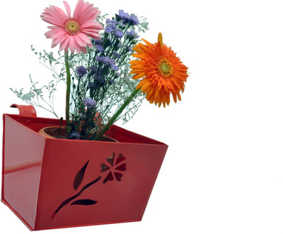 

First Smart Deal Plant Container(Metal, External Height - 15 cm), Red