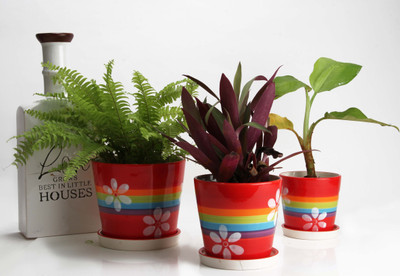 

JB Collection Plant Container(External Height - Planter 1 - 9 cm, Planter 3- 22 cm, Planter 2 - 9.5 cm), Red