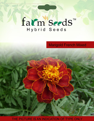 

FARM SEEDS Marigold French Mixed Seed(100 per packet)