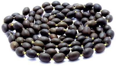 ShubhBhakti Kamal Beej - Kamal Gatta - Lotus seed Seed(50 per packet)