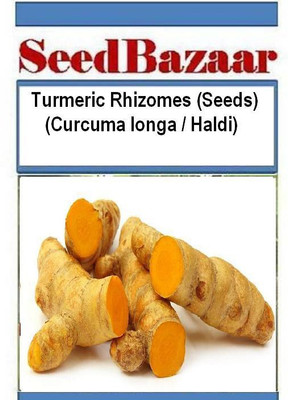 

Seedbazaar Haldi, Curcuma longa, Turmeric Seed(40 per packet)