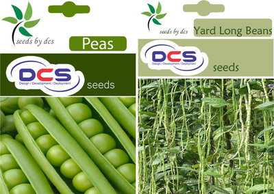 DCS Peas, Yard Long Beans Seed(50 per packet)