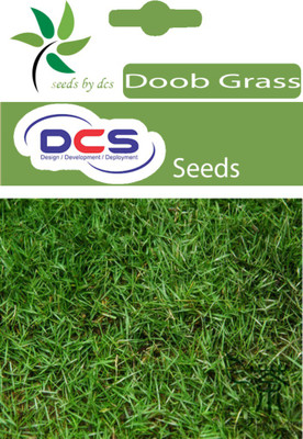 DCS Doob grass seeds Seed(1 per packet)