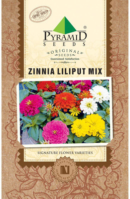 

PYRAMID SEEDS Zinnia Lilliput Mix Seed(10 per packet)