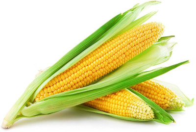 

Farm Seeds Hybrid Maize Sweet Corn Seed(50 per packet)