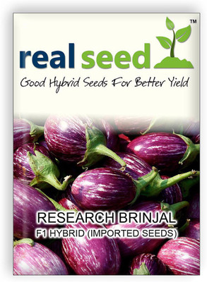 

Real Seed Brinjal Research F1 Seed(50 per packet)