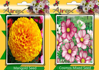 

Airex Marigold, Cosmos Mixed Seed(15 per packet)
