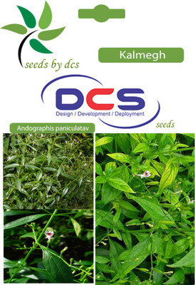 

DCS Kalmegh Tree Seed(5 per packet)