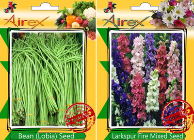 Airex Bean (Lobia), Larkspur Fire Mixed Seed(20 per packet)