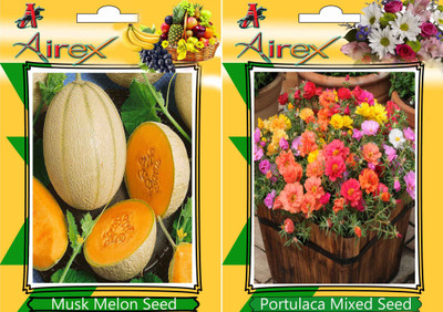 Airex Musk melon and Portulaca Mixed Seed(20 per packet)
