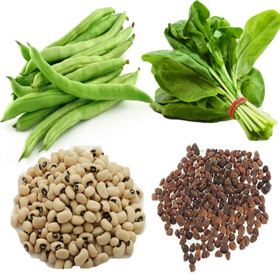 Airex Bean (Lobia), Spinach Seed(15 per packet)