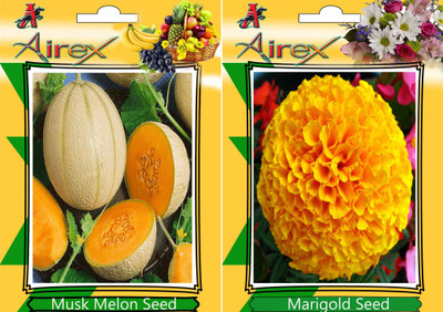 

Airex Musk Melon and Marigold Seed(15 per packet)