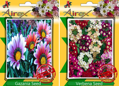 

Airex Gazania, Verbena Seed(25 per packet)