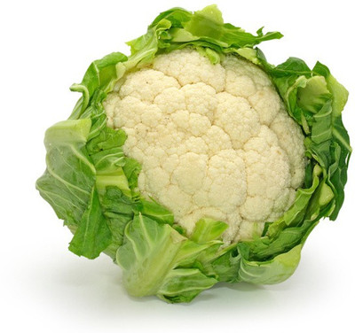 5% OFF on Eplant Gobi Seed(40 per packet) 5% OFF on Eplant Gobi Seed(40 per packet)