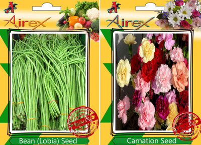 Airex Bean (Lobia), Carnation Seed(25 per packet)